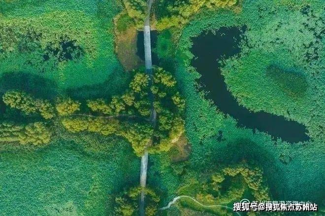 测-鹿溪雅园售楼中心详情户型 小区配套鹿溪雅园售楼处欢迎您 2025楼盘评(图44)