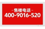 楼盘百科→首页网站→楼盘百科→首页网站→